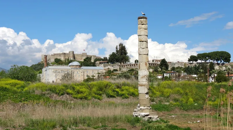 Sütunun tepesinde leylek yuvası, arkada İsa Bey Camii ve kale