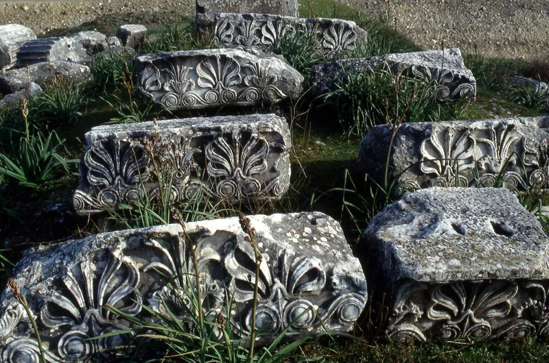 Architectural fragments with palmette decoration