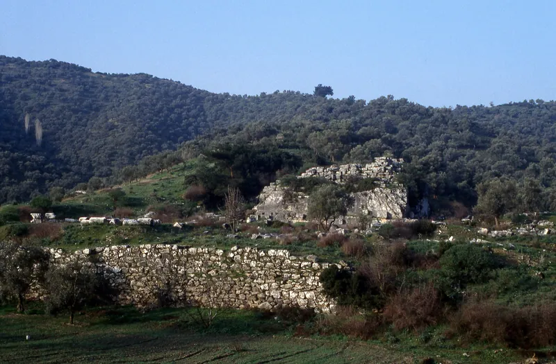 The rock-cut base at Belevi and the blocks around it, with an olive-covered slope behind