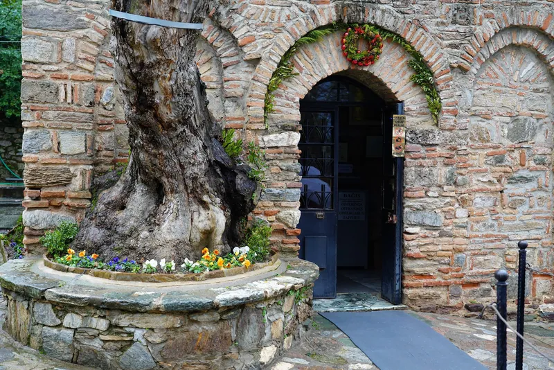 Meryem Ana Evi'nin taş cephesi ve kemerli girişi, yanında yaşlı bir ağaç